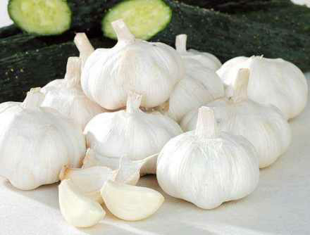 Garlic for sale -CGhealthfood.png
