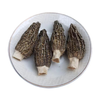 Dried Morel